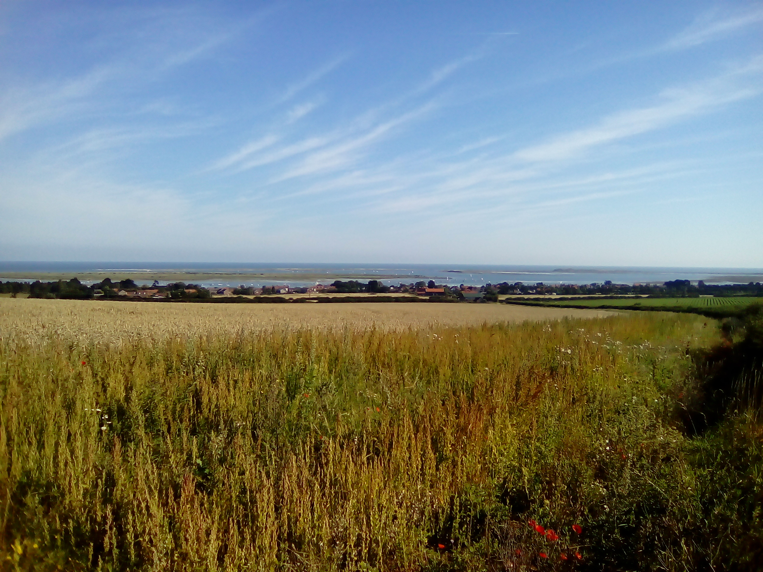 A gardener out of this world